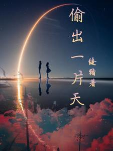 沈星陆靳年