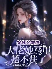 无限蜂透视