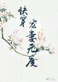 四合院红旗招展的岁月