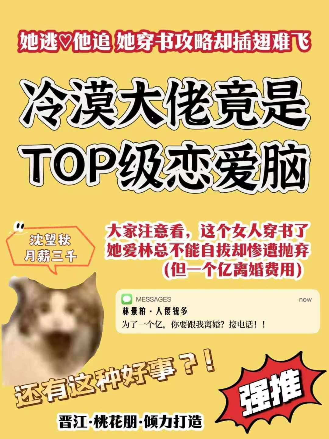 炮灰女修仙记TXT