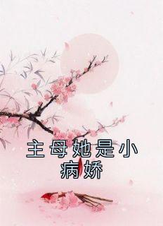 陆晚苏傅寒舟也曾