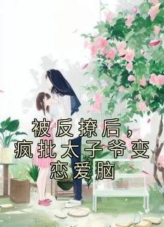 轮回珠的综影视