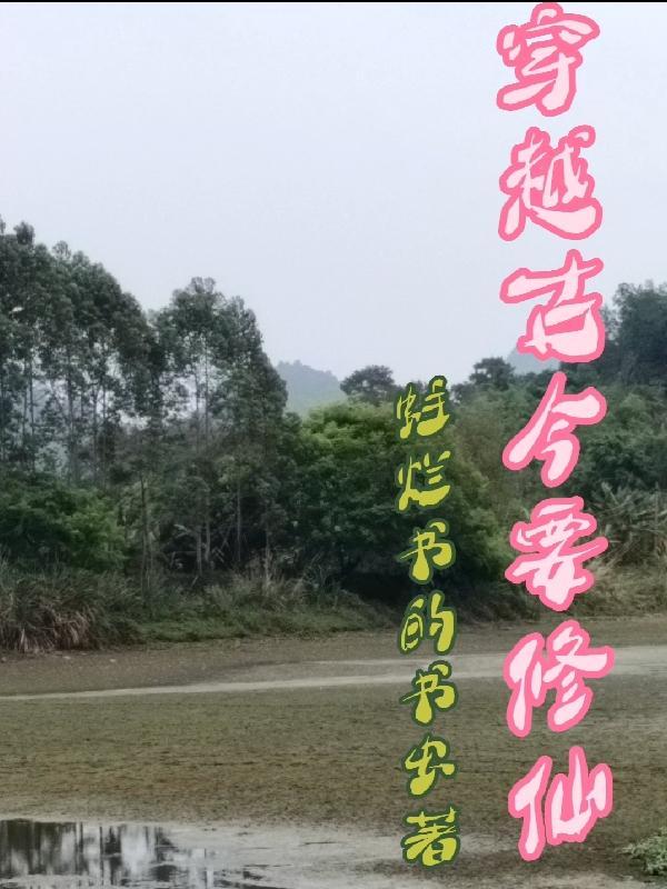 明决子菊花茶的功效