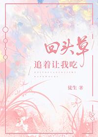 在爱情公寓的咸鱼日常无广告