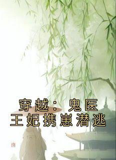 最后一个锦衣卫 txt