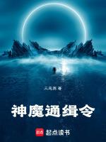 我的亮剑生涯无错版