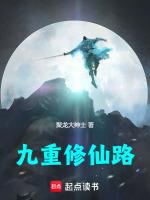 谁是我亲爹作者文理风