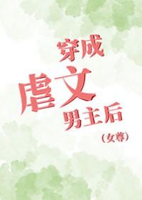 陈北沈舒晴解读