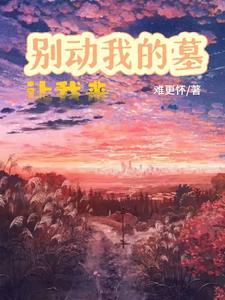 沈湖的作品重生年代好年华